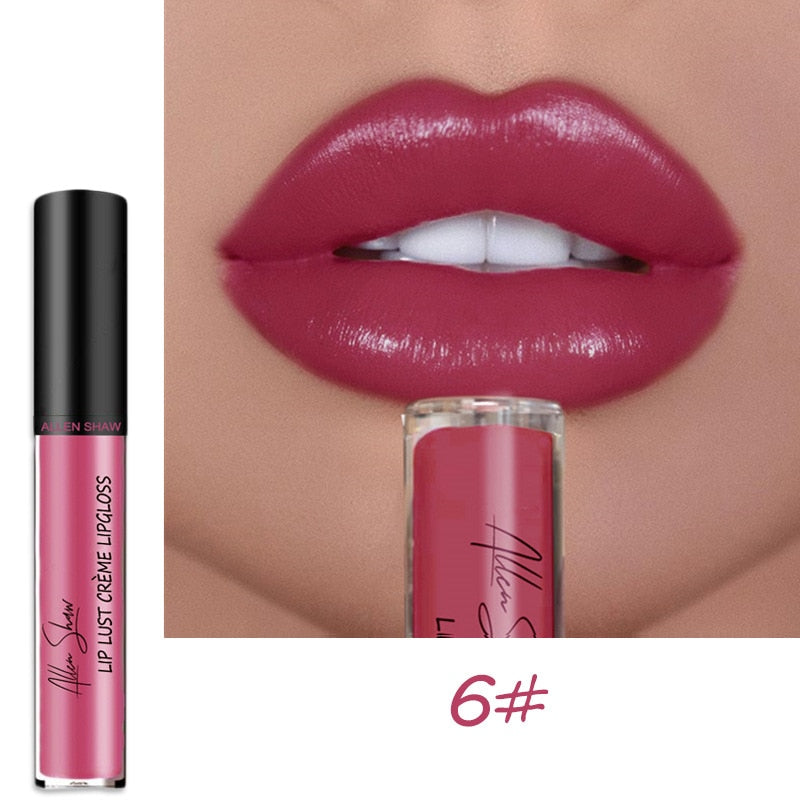 Long Lasting Moist Lip Gloss