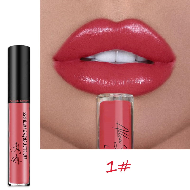 Long Lasting Moist Lip Gloss