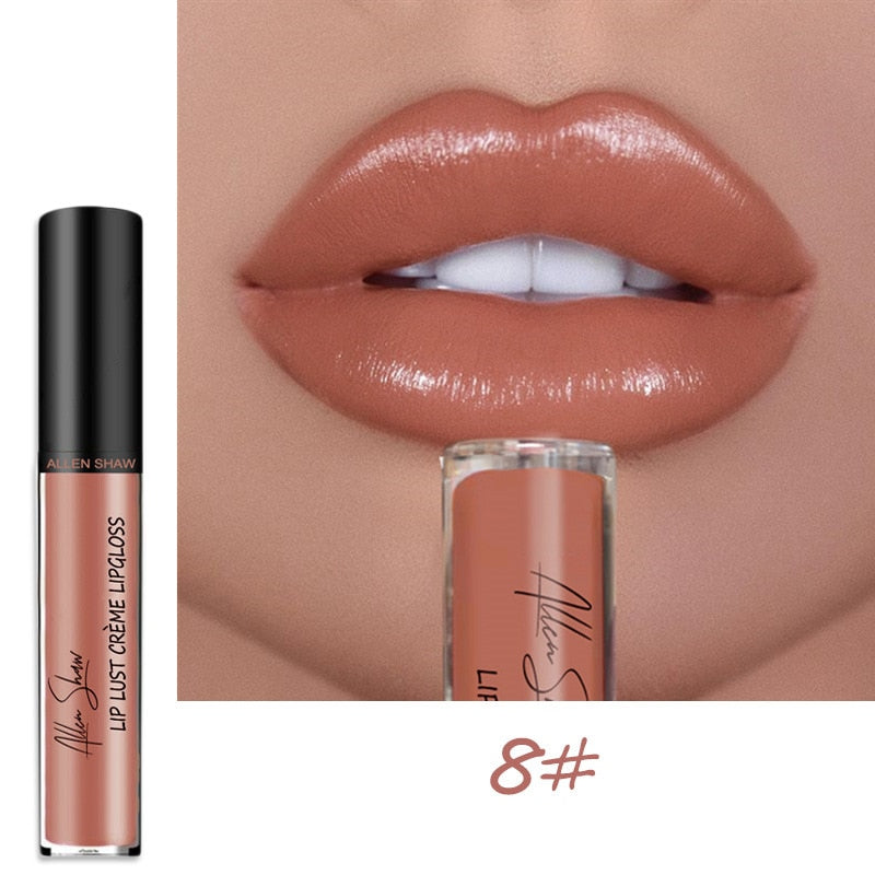 Long Lasting Moist Lip Gloss