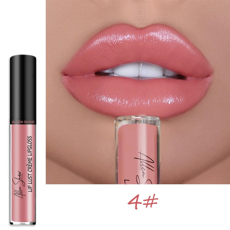 Long Lasting Moist Lip Gloss