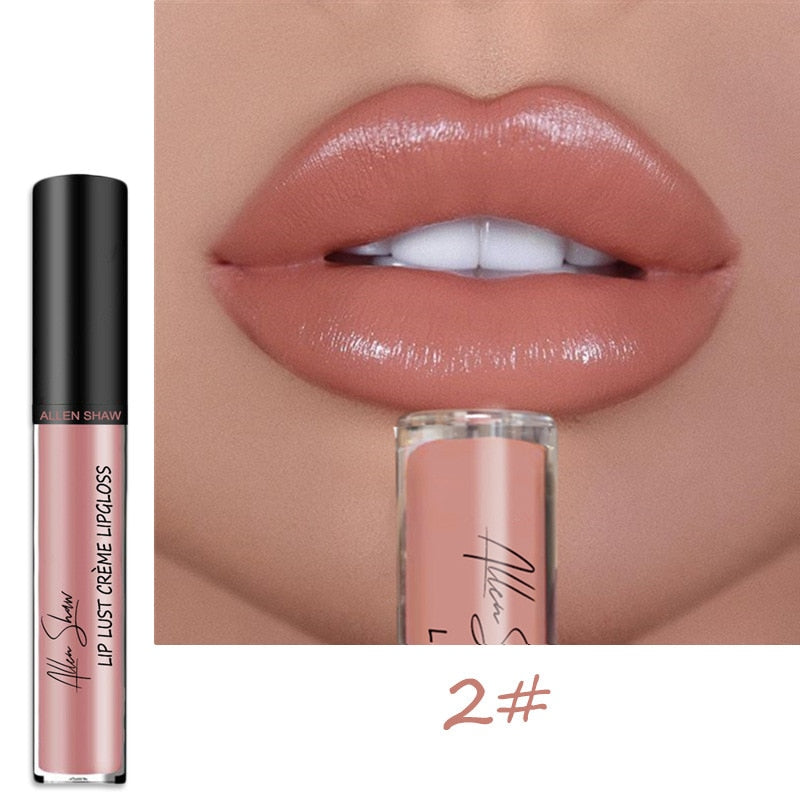 Long Lasting Moist Lip Gloss