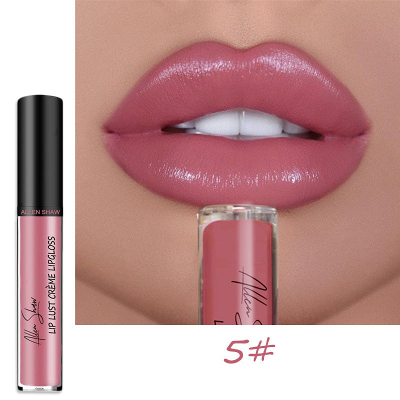 Long Lasting Moist Lip Gloss